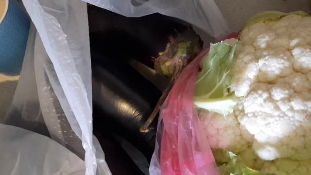 Ніка под капельницей | Закупка продуктов | Готовлю смотреть онлайн