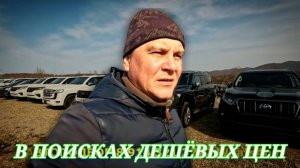 #vitaminauto В ПОИСКАХ ДЕШЁВЫХ ЦЕН