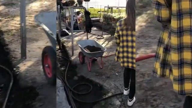 Лидеры Макдоналдс - Демидова Екатерина