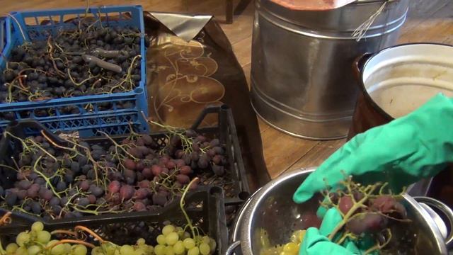 ч 2 ДЕЛАЕМ ВИНО ДОМА. ДРОБЛЕНИЕ винограда для КАЧЕСТВА