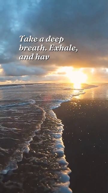 Motivational Quotes Instagram Reel Video