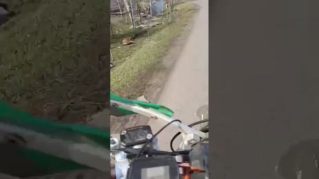 курская обл.село Веселое. апокалипсис СВО. #жизньпродолжается.