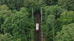 2453849-uhd_3840_2160_24fps
