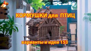 Кормушка для птиц своими руками как сделать пошагово  (153) 🪚🪛🔨 Идеи для дачи и сада❣️