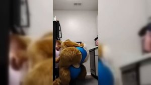 🦆 Подборка мемов про утку, которая кодит на Python 🐍💻 00031