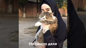 Temnota Love 🌸 (85)