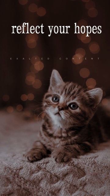 Quotes About Life | English Quotes WhatsApp Status #shorts #englishstatus #motivationalquotes смотреть онлайн