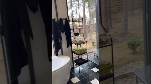 видео_дома.mp4