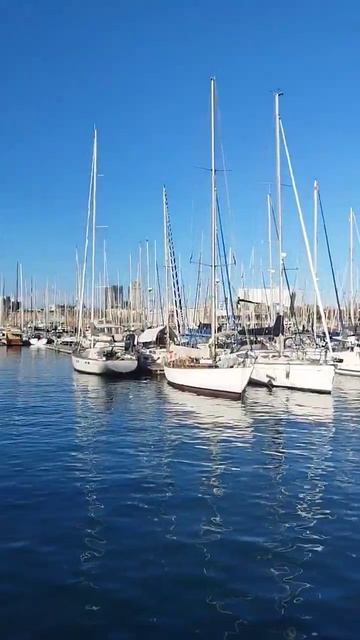 PlacesToVisit In Barcelona #travel #travelvlog #relaxation #tour #spain #virtualtour #sagradafamili смотреть онлайн