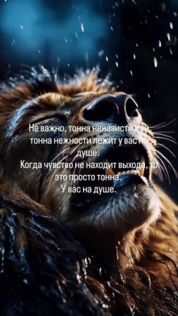 Правда
