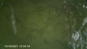 Подводная охота, река Дон