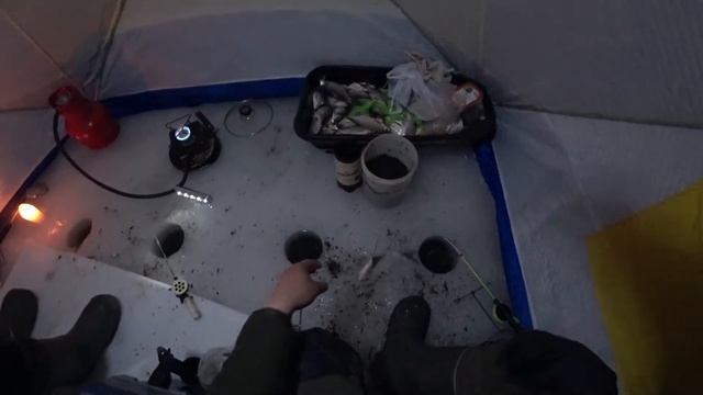 #рыбалкасольда #зимняярыбалка Поймал две рыбы за раз! Сaught two fish at a time !#Shorts