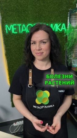 Если проблем на даче не избежать, какую оставить