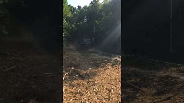 мульчер лесной