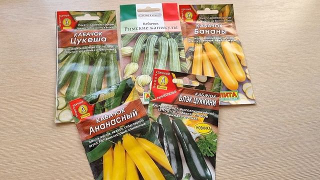 Мои любимые сорта кабачков смотреть онлайн