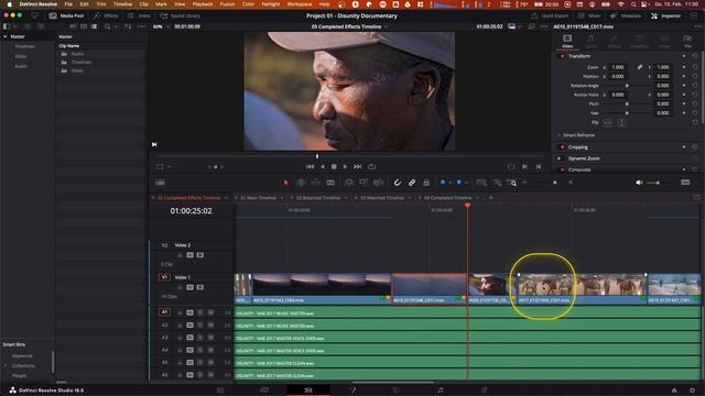 Der ULTIMATIVE Shortcut Guide für DaVinci Resolve! смотреть онлайн