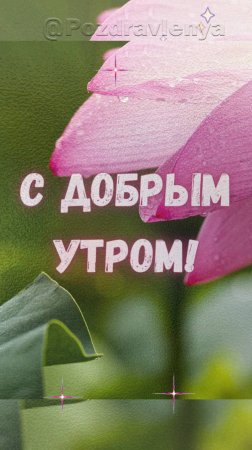 Доброе утро!
