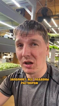 Автополив микрозелени