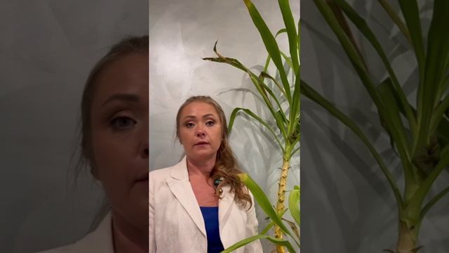 УПЛАТА АЛИМЕНТЫ|ПРО ПРАВА