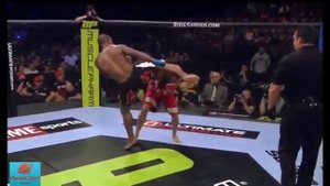 Смертоносное кунг фу в ММА  Лоренц Ларкин  Муссон