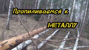 Думали,что металла там больше нет...