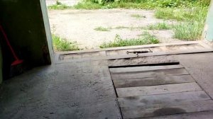 video_2024-07-17_18-31-56