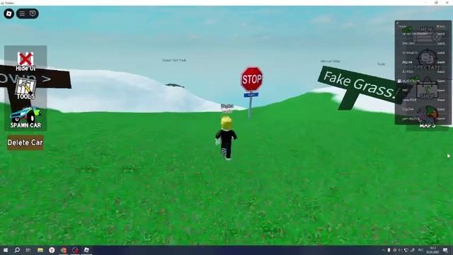 играю с другом в роблокс