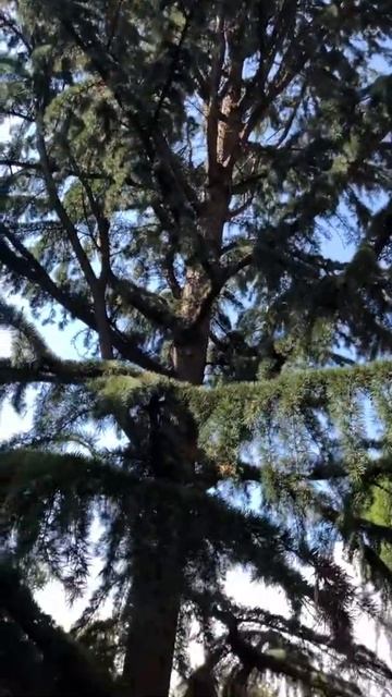 7 de agosto de 2020 смотреть онлайн