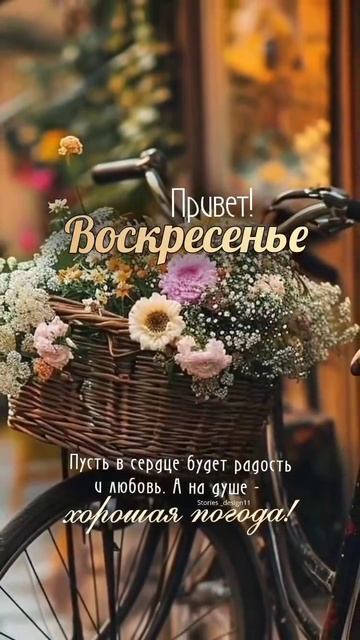 Привет, воскресенье !