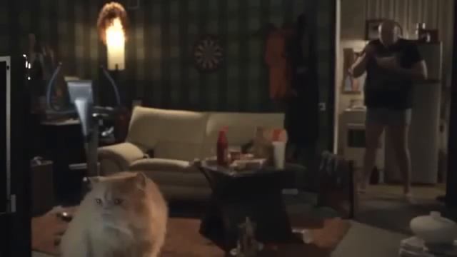 КОШКИ КОТЫ и ТВ! СМЕШНЫЕ ПРИКОЛЫ HD смотреть онлайн