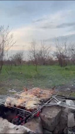 прекрасный вечер