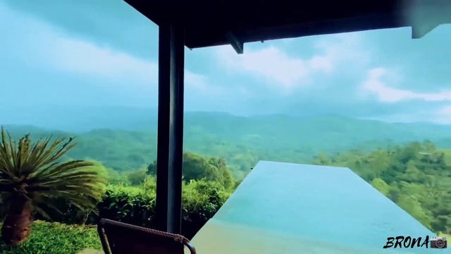 Nestwood Bungalow | Kalawana Sri Lanka | Travel Destination | Sri Lankan foods смотреть онлайн