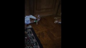 Апельсин потерял одну жизнь, надеюсь он поправится.