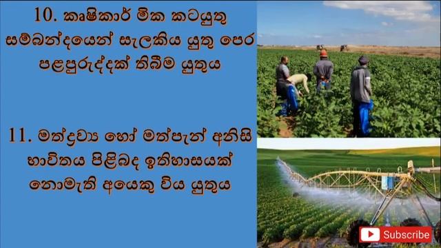 Israel Agriculture job vacancies for Sri Lankans | ඊශ්රායෙල් රාජ්යයේ කෘෂිකර් ම ක්ෂේත්රයේ රැකියා