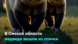 В Омской области медведи вышли из спячки