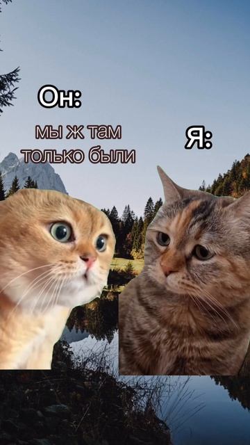 23 января 2024 г. смотреть онлайн