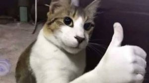 Обзор игры майнкрафт