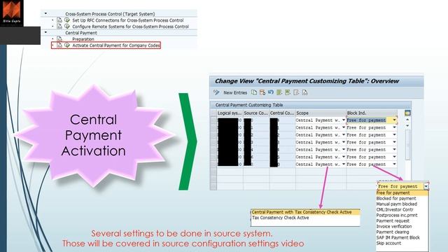 SAP Central Finance - Configuration Video 14 смотреть онлайн
