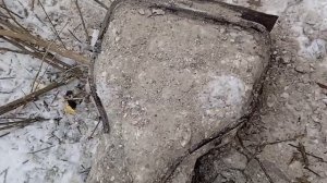 добываю арматуру из бетона 28 февраля.