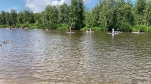 Джек рассел терьер встаёт на САП борд. Катаемся с собаками на сапах 2024