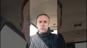 как мы губим деревья