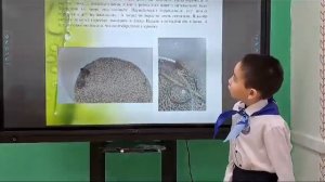 ЛИЧИНКИ МУРАВЬИНОГО ЛЬВА- Дьяконов Георгий