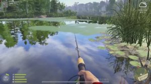 Русская Рыбалка 4! Леща ловим