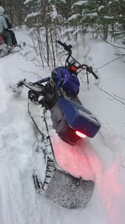 МАХНУЛ НЕ ГЛЯДЯ!