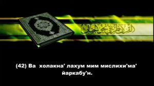 Сураи ёсин