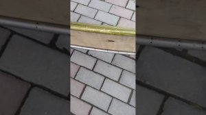 охотникам рыбакам и туристам. ну ооочень дельный совет и моё изобретение.