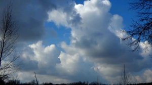 Развитие кучевых облаков над городом Вязники 29.03.2025