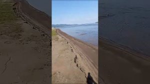 бревно вовсе не бревно