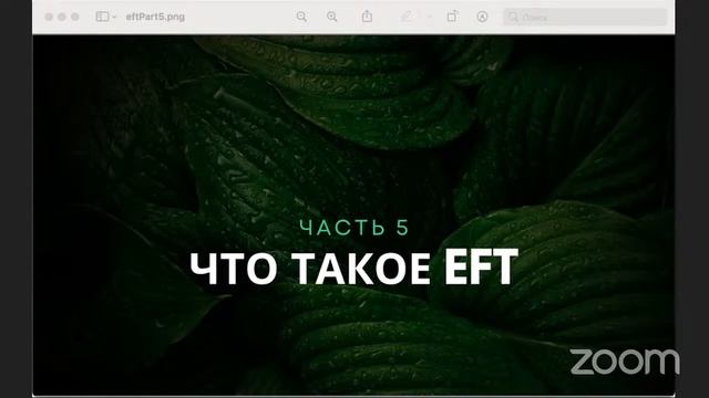 Что такое EFT. Часть 5