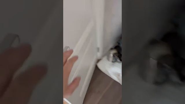 Domini Doors IMG 8667 смотреть онлайн